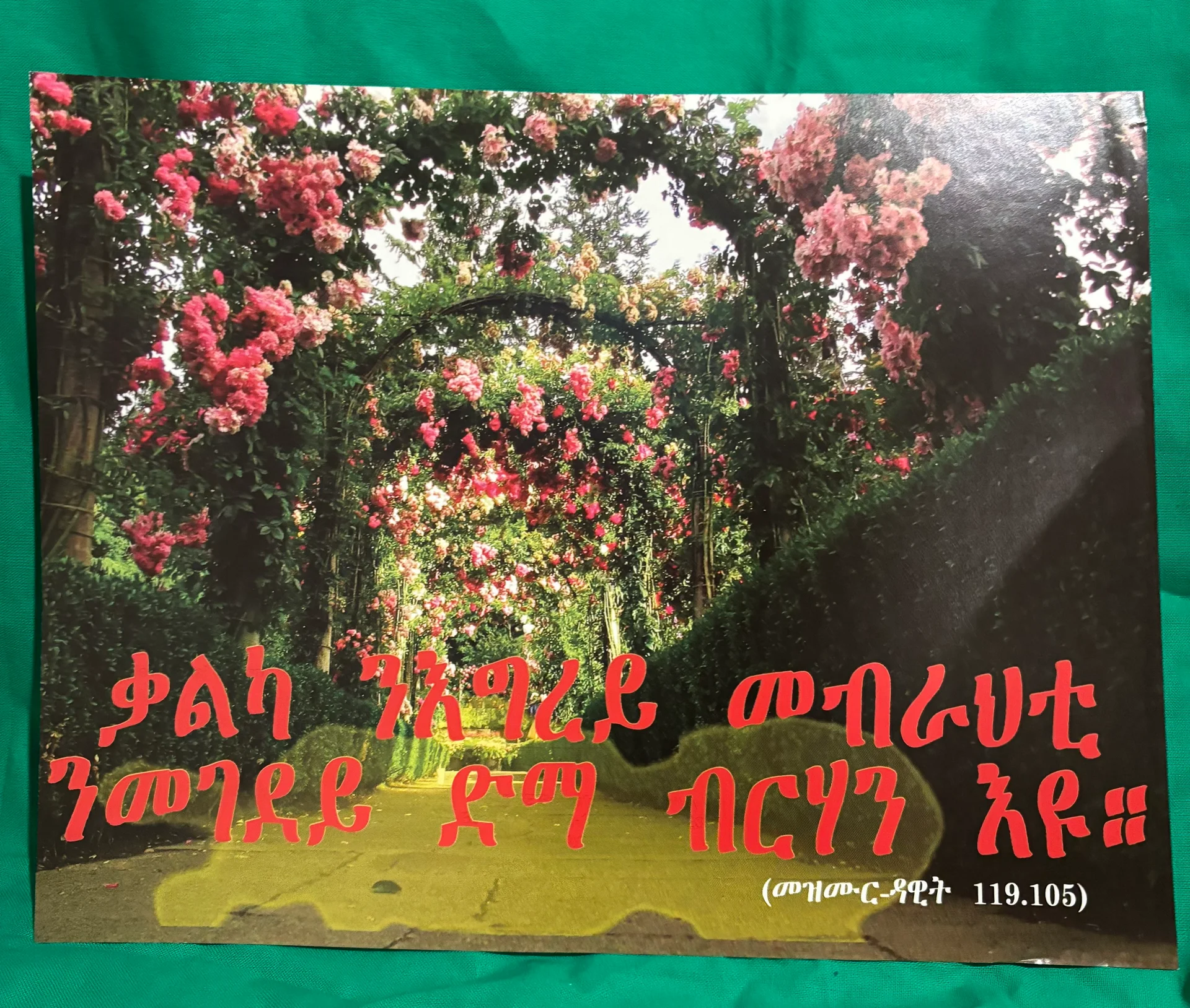ናይ ትግርኛ መጽሓፍ ቅዱስ ጥቅሲ ፖስተራት - ናይ ትግርኛ መጽሓፍ ቅዱስ ጥቅሲ ፖስተራት - View 12 of 16